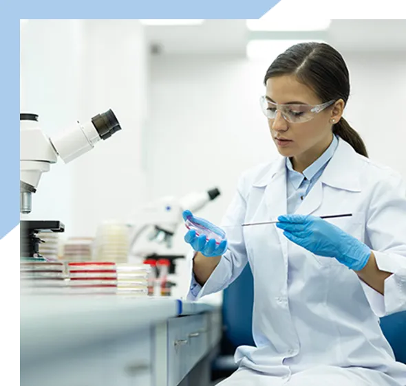 about-b-pharma